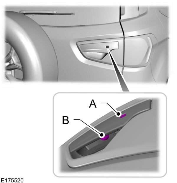 Image Shown Without Description