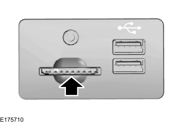 Image Shown Without Description