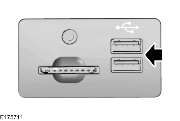 Image Shown Without Description