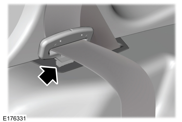 Image Shown Without Description