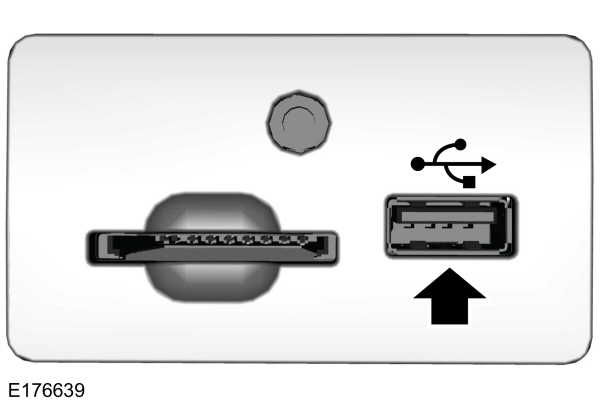 Image Shown Without Description