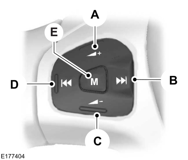 Image Shown Without Description