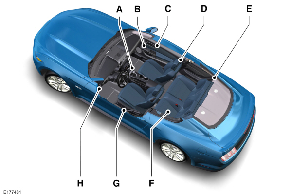 Image Shown Without Description