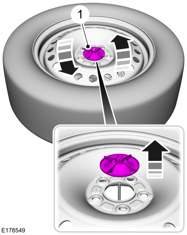 Image Shown Without Description