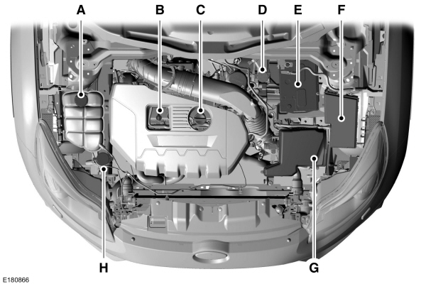 Image Shown Without Description