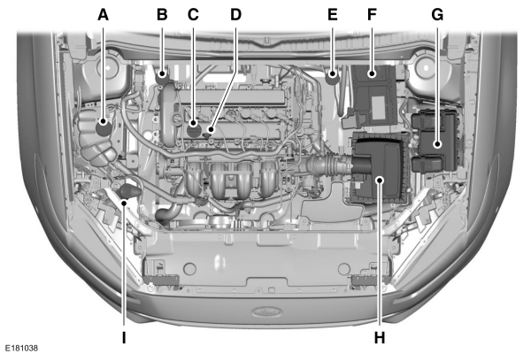 Image Shown Without Description