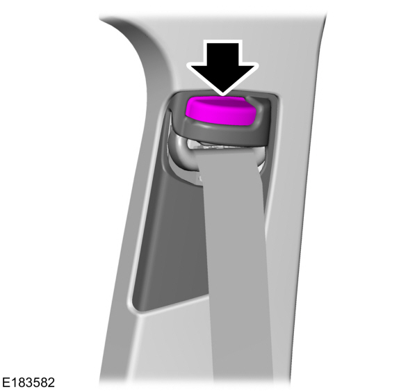 Seatbelt Height Adjustment Button