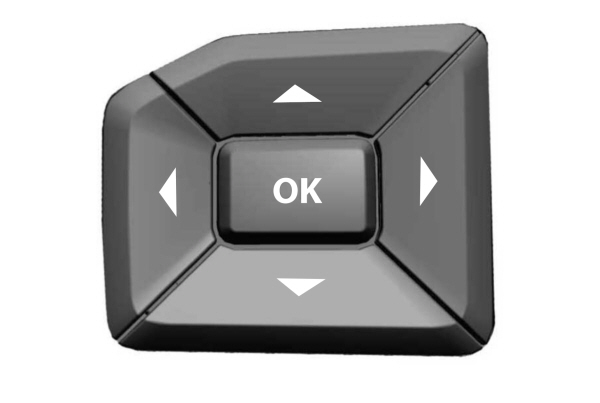 Information Display Control Buttons