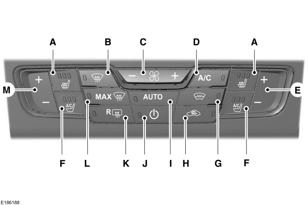 Image Shown Without Description