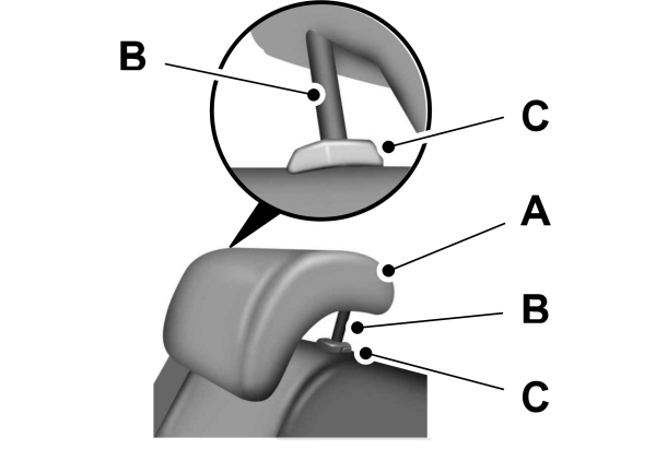 Rear Center Head Restraint