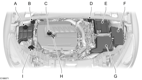 Image Shown Without Description