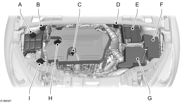 Image Shown Without Description