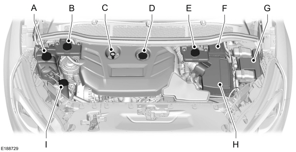 Image Shown Without Description