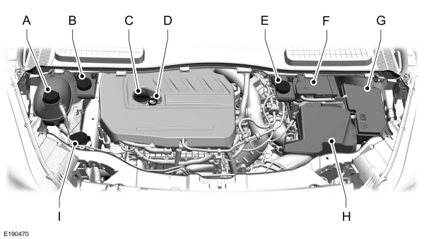 Image Shown Without Description