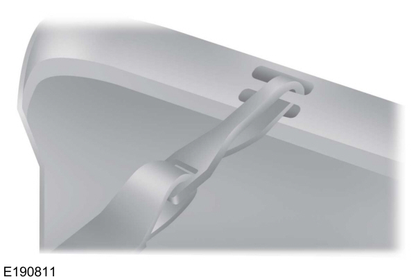 Clip Tether Strap 