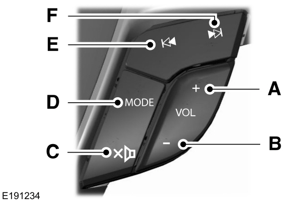 Image Shown Without Description