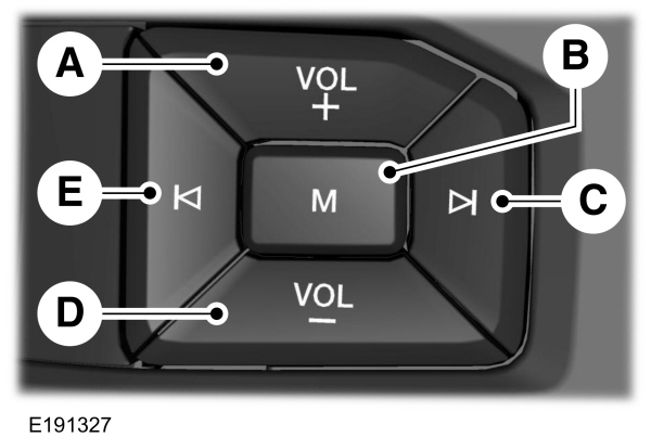 Steering Wheel Audio Controls