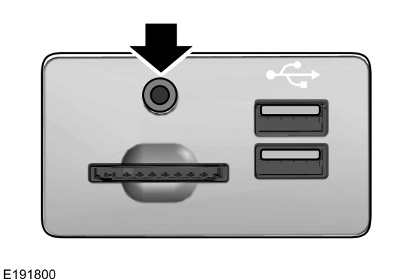 Image Shown Without Description