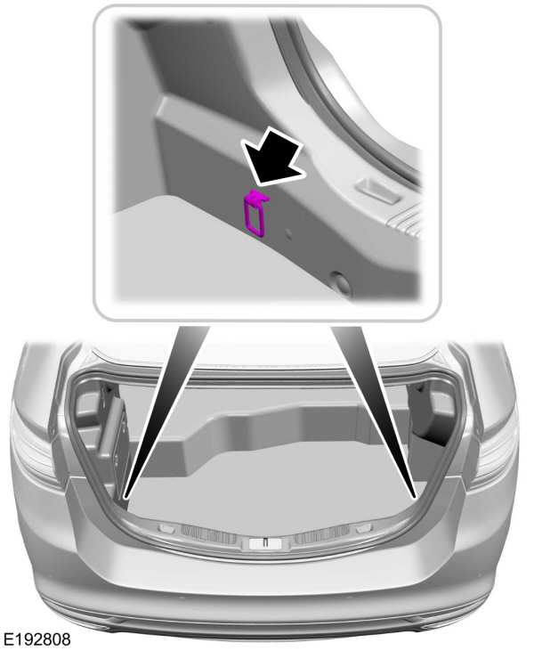 Image Shown Without Description