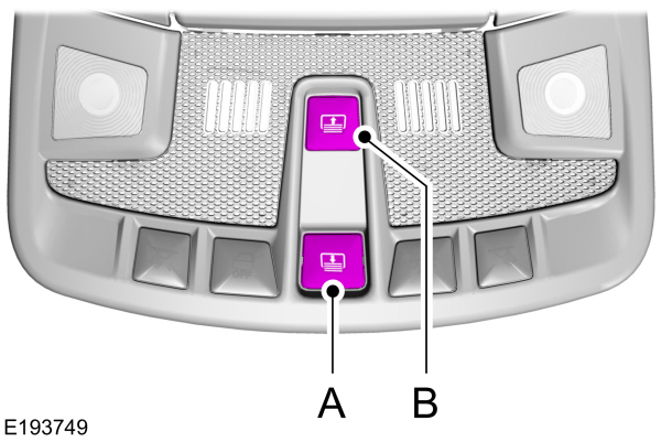 Image Shown Without Description