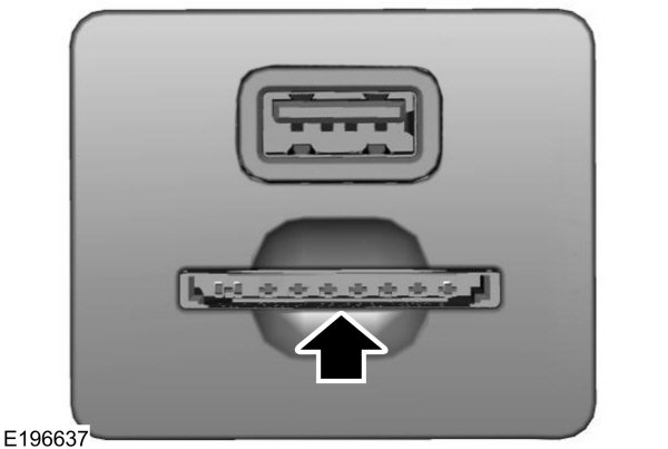 Image Shown Without Description