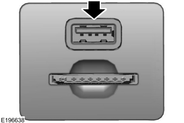 Image Shown Without Description
