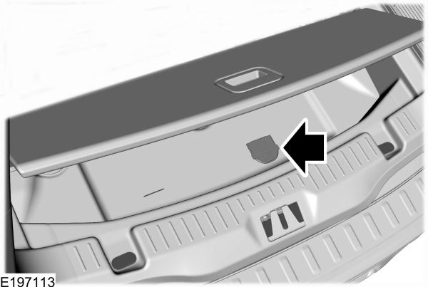 Image Shown Without Description