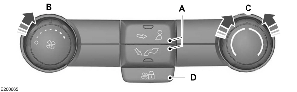 Image Shown Without Description
