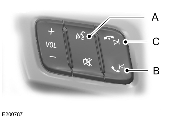Image Shown Without Description