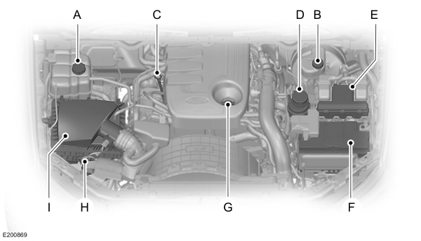 Image Shown Without Description