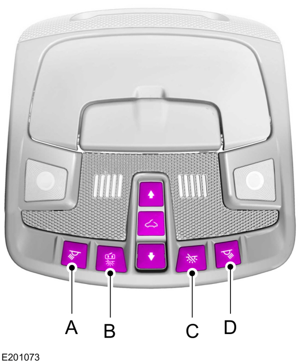 Image Shown Without Description