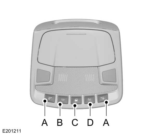 Image Shown Without Description