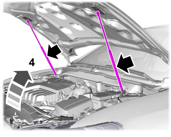 Dual Hood Struts