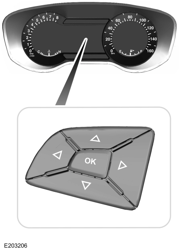 Instrument Cluster General Information Controls