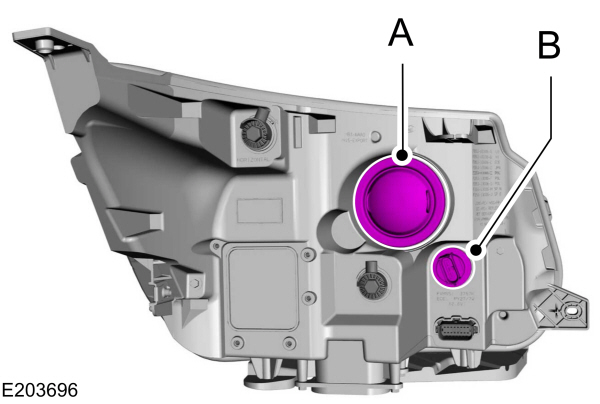 Headlamp Assembly Bulbs