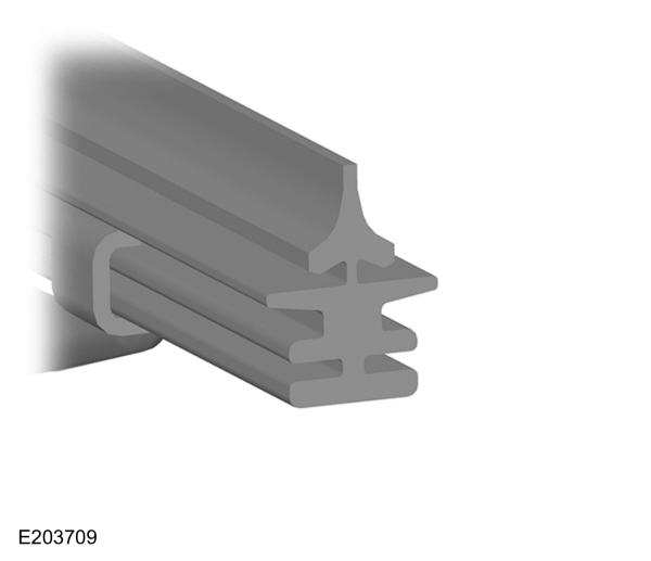 Image Shown Without Description