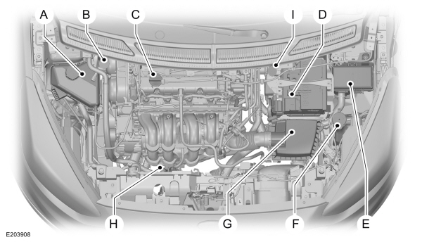 Image Shown Without Description