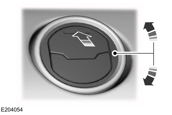 Image Shown Without Description