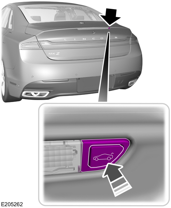 Exterior Luggage Compartment Release Button