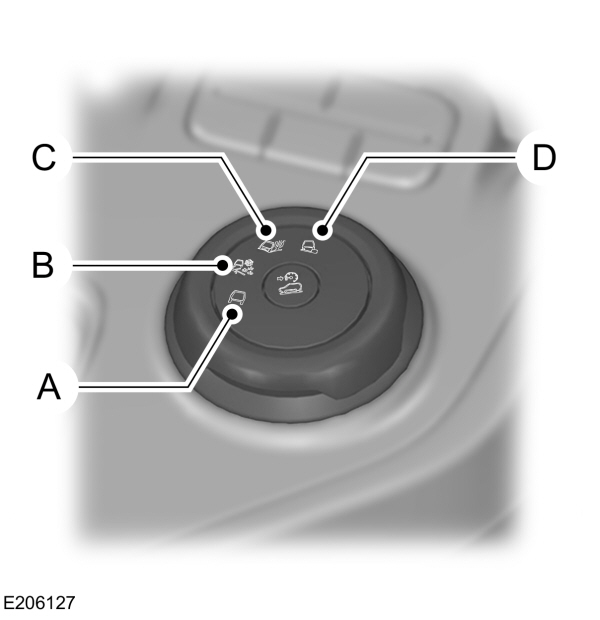 Image Shown Without Description