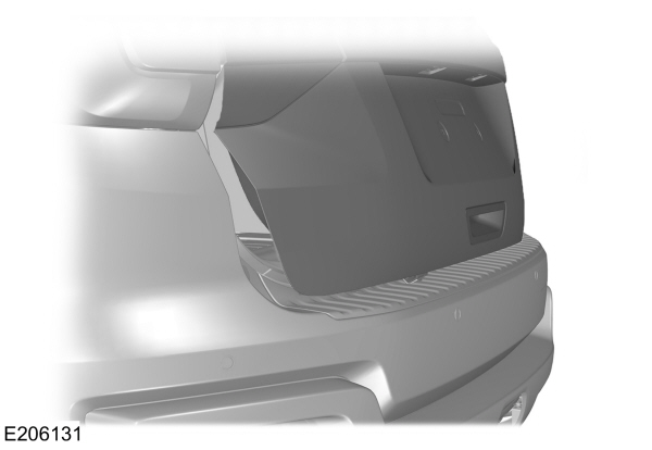 Image Shown Without Description