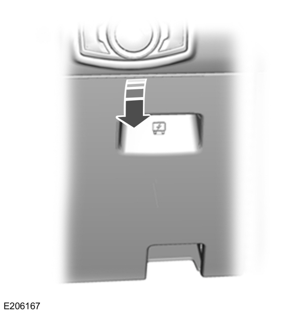 Image Shown Without Description