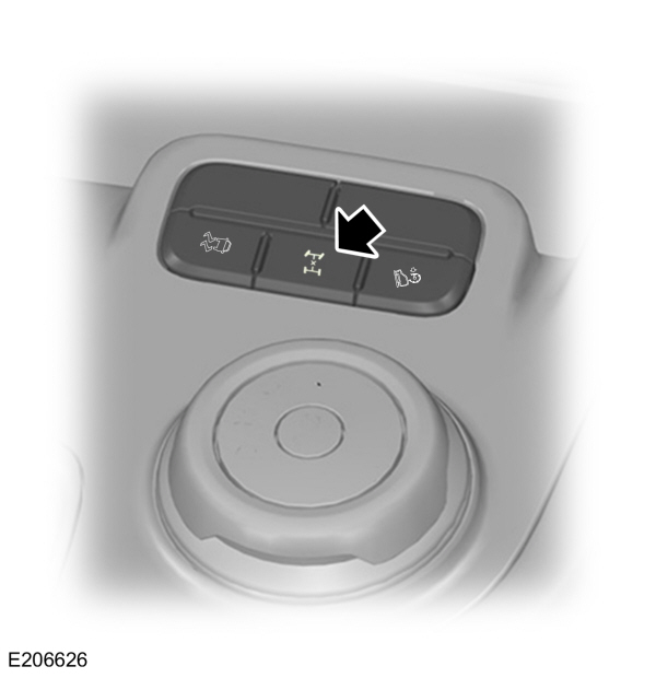 Image Shown Without Description