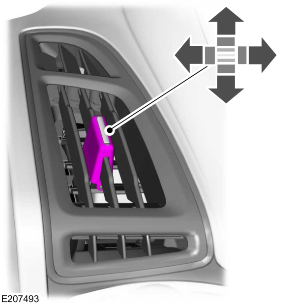 Image Shown Without Description