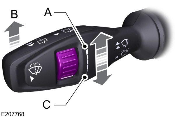 Image Shown Without Description
