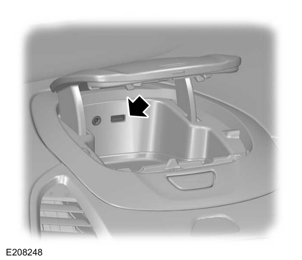 Image Shown Without Description