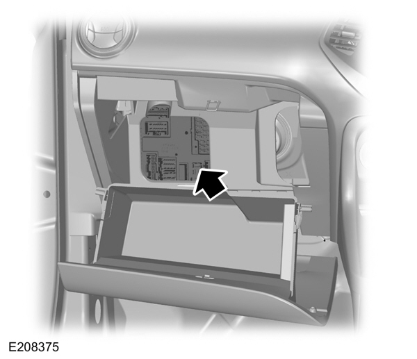 Image Shown Without Description