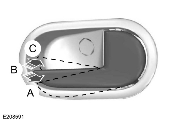 Image Shown Without Description