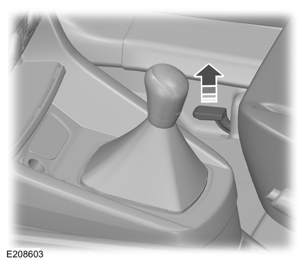Image Shown Without Description