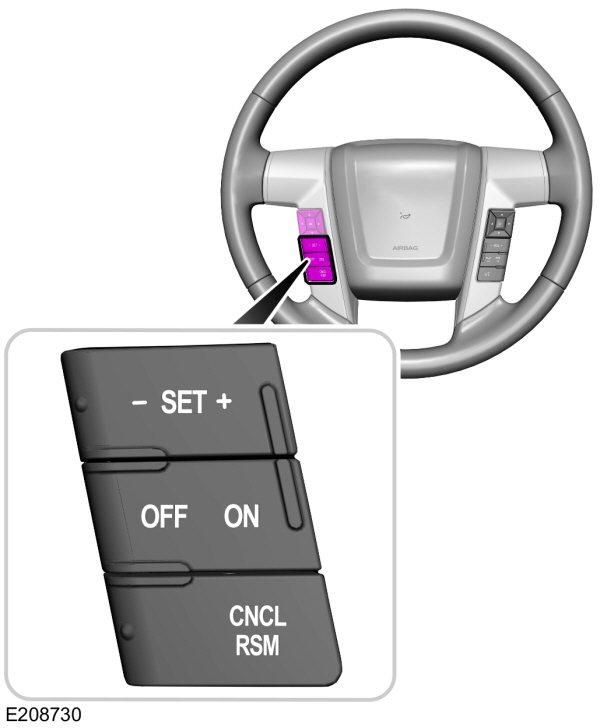 Cruise Control Switches